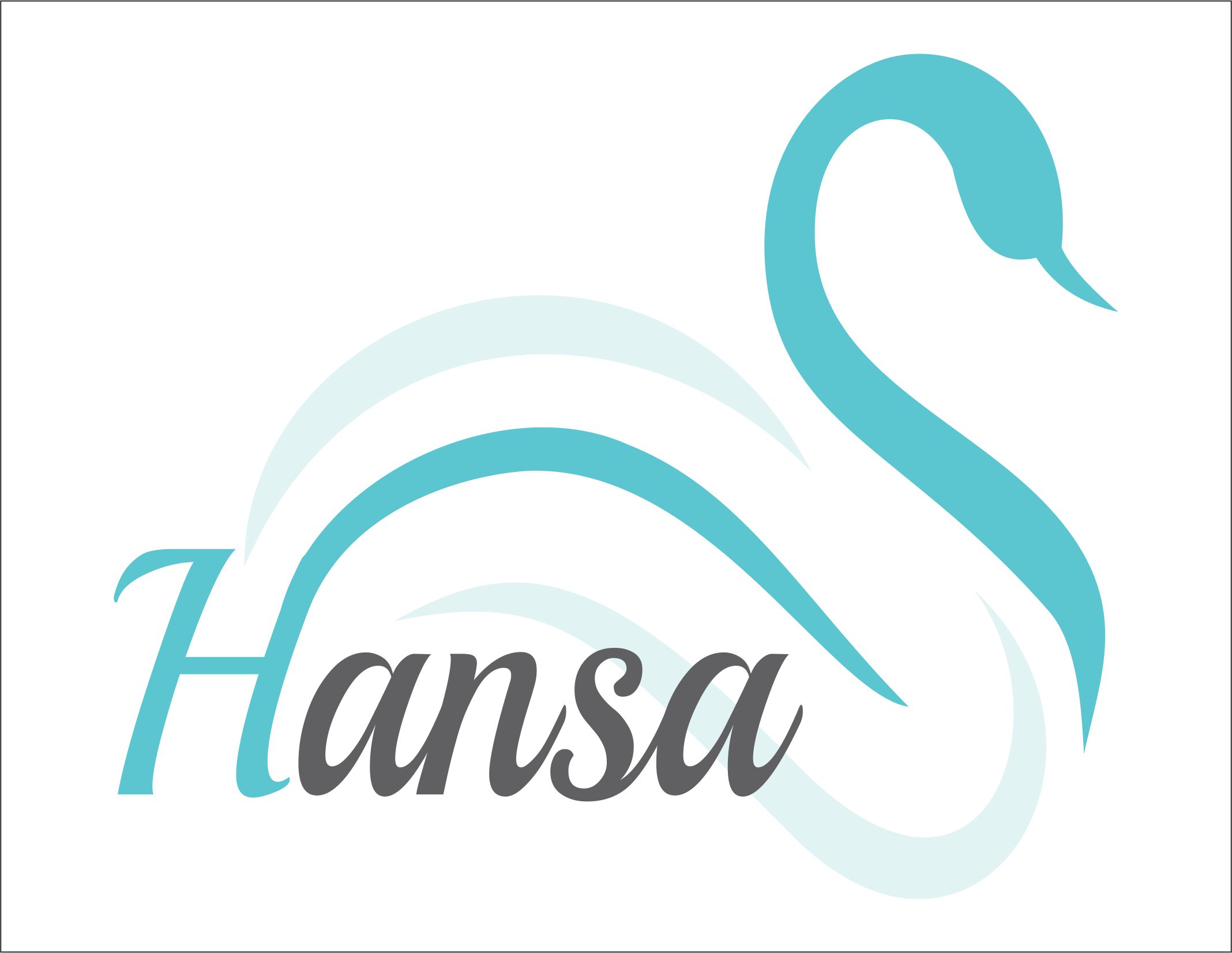 Hansa Marine Services